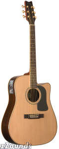 Washburn D10SCEDL Solid-Top Cutaway Acoustic-Electric Guitar reviews