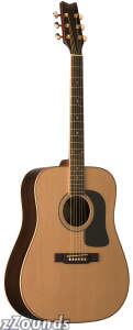 Washburn D10SDL Solid Top Acoustic Guitar