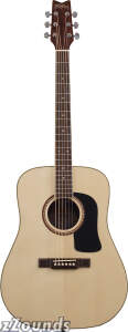 Washburn D10S Rarewood Acoustic Guitar (with Gig Bag)