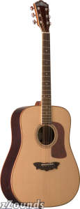 Washburn D56SW Timbercraft Acoustic Guitar (with Case)