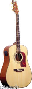 Washburn DK20T Acoustic Guitar with Built-In Tuner reviews