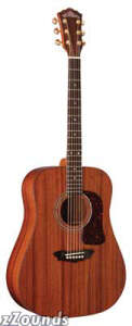 Washburn WD18SW Solid Top Acoustic Guitar (with Gig Bag) reviews