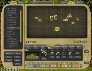 Wizoo Latigo Latin Percussion Soft Synth (Macintosh and Windows) prices