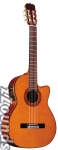 Alvarez AC60SC Classical Cutaway Acoustic-Electric Guitar