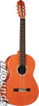 Alvarez CY116 Yairi Classical Acoustic Guitar (with Case)