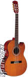 Alvarez RC20SC Classical Cutaway Acoustic-Electric Guitar
