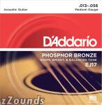 D'Addario EJ17 Phosphor Bronze Acoustic Guitar Strings (Medium, 13-56)