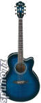 Ibanez AEL20E AEL Cutaway Acoustic-Electric Guitar