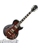Ibanez AG95 Artcore Electric Guitar