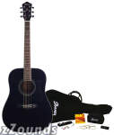 Ibanez IJV100S Jam Pack Acoustic Guitar Package