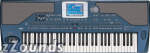 Korg Pa800 Professional 61-Key Arranger Keyboard
