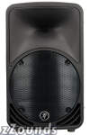 Mackie C200 Compact Passive SR Monitor (1x10 in.)