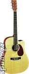 Martin DCX1E Dreadnought Cutaway Acoustic-Electric Guitar