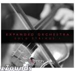 Notion Solo Strings 1 Expansion Kit for Notion Software
