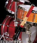 ProMark SD200 Stick Depot