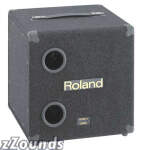 Roland KCW1 Powered Subwoofer (200 Watts)