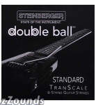Steinberger Synapse TranScale Standard Guitar Strings
