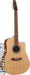 Seagull Portrait CW QII Cutaway Acoustic-Electric Guitar (with Case)