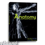 SONiVOX Anatomy Virtual Instrument