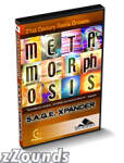 Spectrasonics Metamorphosis Sage Xpander for RMX