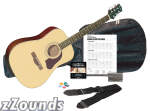Silvertone SD3000 Acoustic Guitar Package