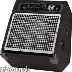 SWR WorkingPro 12 Bass Combo Amplifier (200 Watts, 1x12 in.)