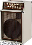 SWR California Blonde II Acoustic Guitar Amplifier (160 Watts, 12 in.)