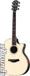 Taylor 914CE Grand Auditorium Cutaway Acoustic-Electric Guitar (with Case)