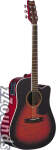 Washburn D10CEQ Dreadnought Cutaway Acoustic-Electric Guitar (with Case)