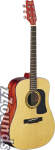 Washburn D10S Dreadnought Acoustic Guitar (with Case)