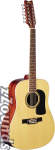 Washburn D10S12 12-String Dreadnought Acoustic Guitar (with Case)