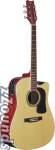 Washburn D10SCE Dreadnought Cutaway Acoustic-Electric Guitar (with Case)