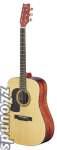 Washburn D10SLH Left-Handed Dreadnought Acoustic Guitar (with Case)
