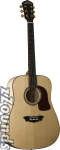 Washburn D48SW All Solid Wood Acoustic Guitar (With Case)