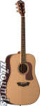Washburn D56SW Timbercraft Acoustic Guitar (with Case)