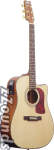 Washburn DK20CET Dreadnought Cutaway Acoustic-Electric Guitar