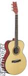 Washburn F10S Solid Top Folk Body Acoustic Guitar