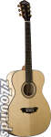 Washburn F48SW Solid Wood Folk Acoustic Guitar (With Case)