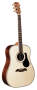 Alvarez PD100S Dreadnought Acoustic Guitar reviews