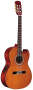 Alvarez RC20SC Classical Cutaway Acoustic-Electric Guitar reviews