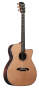 Alvarez WY1 Yairi Folk Cutaway Acoustic-Electric Guitar (with Case) best buy