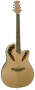 Buy Applause AE48 Super-Shallow Acoustic-Electric Guitar from Bass Guitar Store.com and Save!