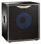 Ashdown ABM115 Deep Bass Cabinet (300 Watts, 1x15 in.)