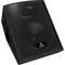 Behringer S1220F Eurolive 2-Way Floor Monitor (280 Watts, 1x12 in.)