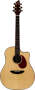 Buy Breedlove AD25SM Atlas Series Acoustic-Electric Guitar from Bass Guitar Store.com and Save!
