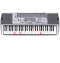 Casio LK100 Lighted Keyboard reviews