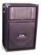 Community DND15 2-Way PA Speaker (150 Watts, 1x15 in.)