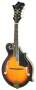 Buy Dean Bluegrass F-Style Mandolin at Bass Guitar Store.com and Save!