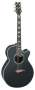 Buy Dean Performer DSE Acoustic-Electric Guitar at Bass Guitar Store.com and Save!