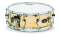 Pacific Drums SX Series Hammered Brass Snare (5.5x14 in.)